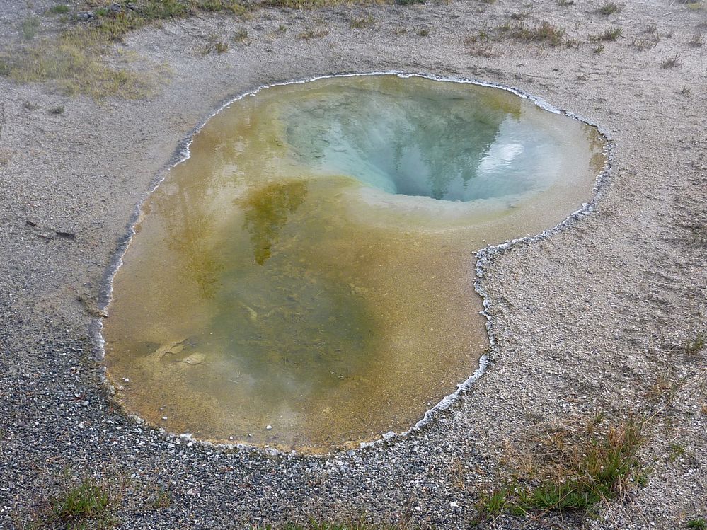 Yellowstone Old faithfull et ses environs (71).JPG